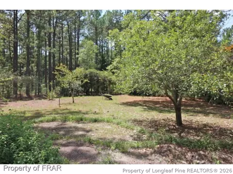 7 Saddle Pl, Pinehurst, NC 28374 photo 22