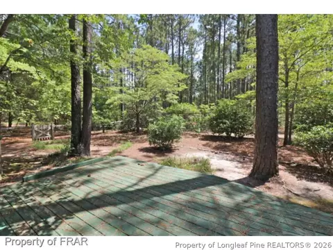 7 Saddle Pl, Pinehurst, NC 28374 photo 19