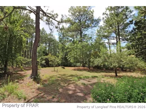7 Saddle Pl, Pinehurst, NC 28374 photo 26