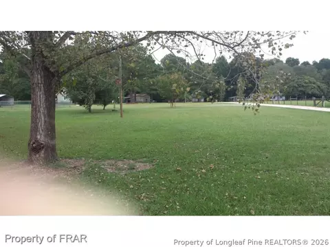 19 Cinnamon, Erwin, NC 28339 photo 24