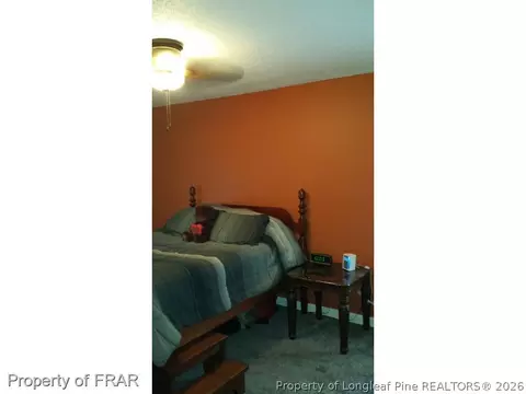 19 Cinnamon, Erwin, NC 28339 photo 9