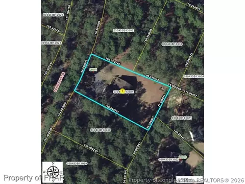 28981 Deercroft Dr, Wagram, NC 28396 photo 25