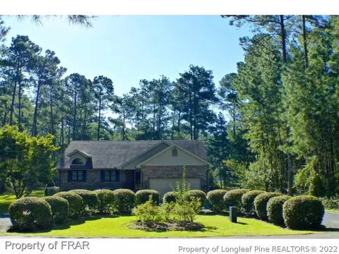 28981 Deercroft Dr, Wagram, NC 28396 photo 1