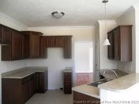 51 Lockhaven Ct, Cameron, NC 28326 photo 8