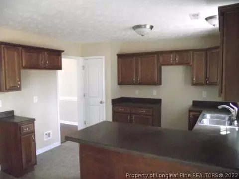 236 Tower Rd, Broadway, NC 27505 photo 9