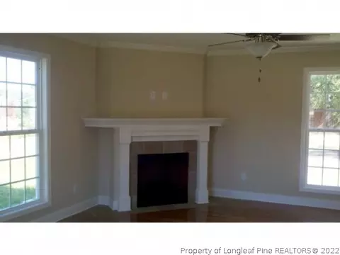 15 Micro Ct, Broadway, NC 27505 photo 3