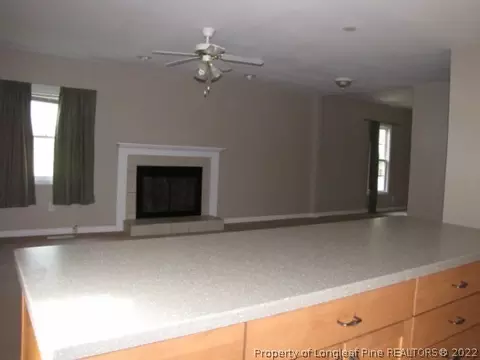 479 Sellars Rd, Cameron, NC 28326 photo 9