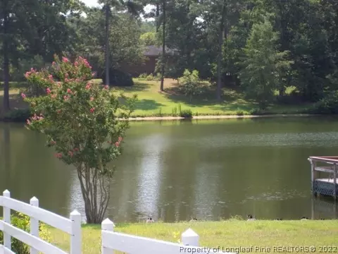 212 Edgewater Dr, Broadway, NC 27505 photo 3