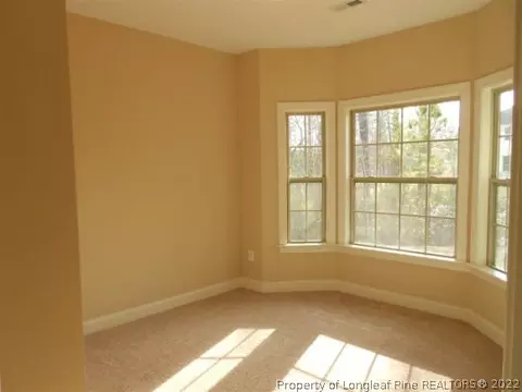 136 Old Glory Ln, Cameron, NC 28326 photo 11