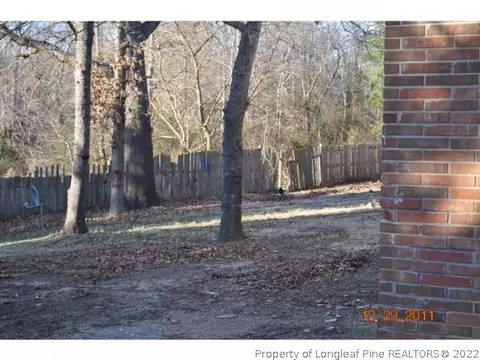 814 Denning Rd, Angier, NC 27501 photo 5
