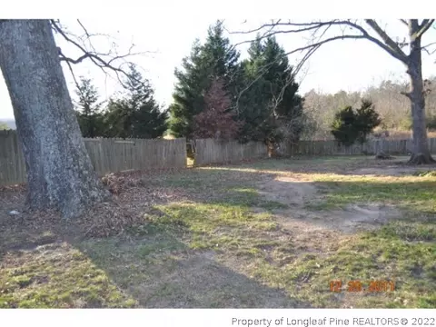 814 Denning Rd, Angier, NC 27501 photo 4