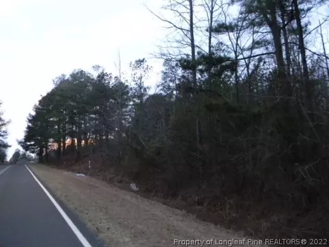 0 Walker Rd, Linden, NC 28356 photo 1
