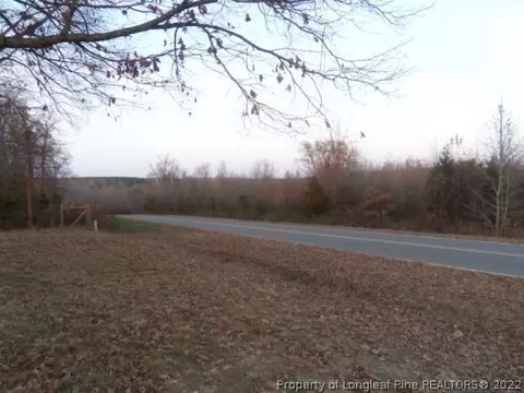 6429 Country Loop Rd, Bennett, NC 27208 photo 3