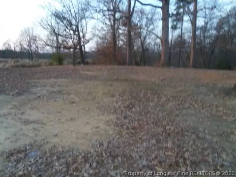 6429 Country Loop Rd, Bennett, NC 27208 photo 5