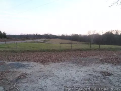 6429 Country Loop Rd, Bennett, NC 27208 photo 21
