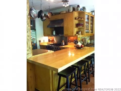189 Hermitage Ln, Moncure, NC 27559 photo 3