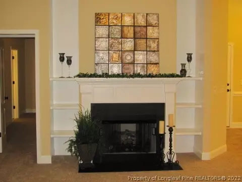 521 Juno Dr, Broadway, NC 27505 photo 4