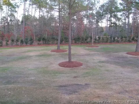 521 Juno Dr, Broadway, NC 27505 photo 15
