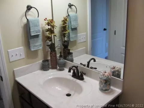 521 Juno Dr, Broadway, NC 27505 photo 13
