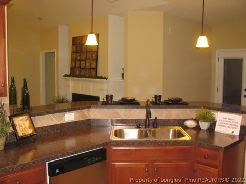 521 Juno Dr, Broadway, NC 27505 photo 7