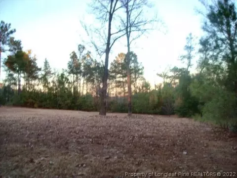 6191 S Plank Rd, Cameron, NC 28326 photo 9