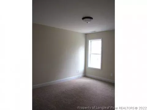 295 Tower Dr, Broadway, NC 27505 photo 14