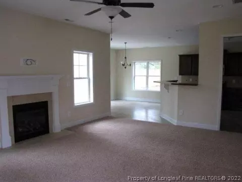 295 Tower Dr, Broadway, NC 27505 photo 9