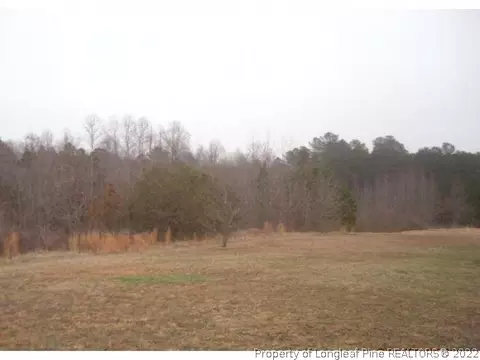 125 Pine Mdws, Broadway, NC 27505 photo 9