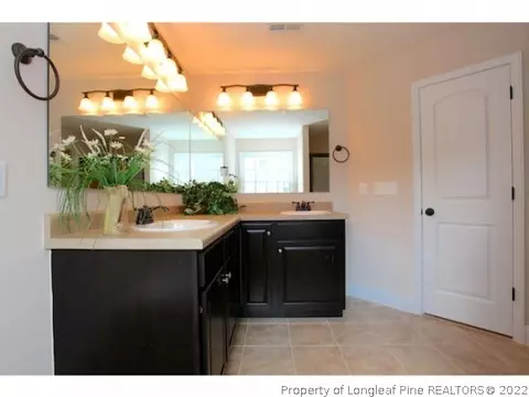 409 Spring Flowers Dr, Cameron, NC 28326 photo 21