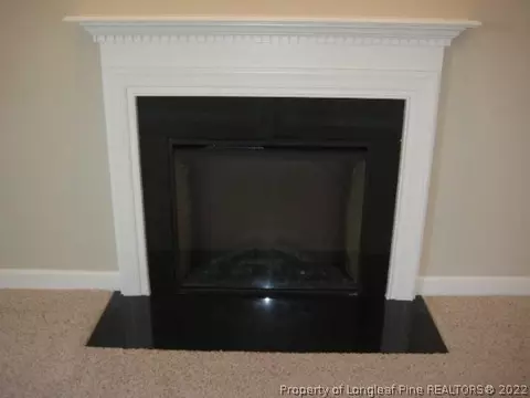 267 Samuel Nicholas Dr, Cameron, NC 28326 photo 8