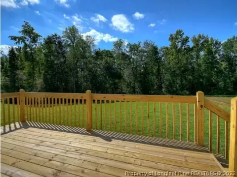 52 Deep Woods Ln, Cameron, NC photo 16