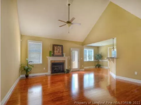 52 Deep Woods Ln, Cameron, NC photo 6