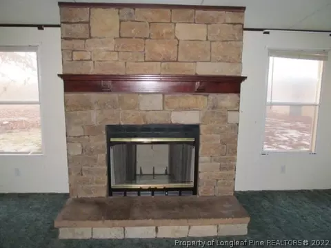 215 Huckleberry Ln, Erwin, NC 28339 photo 5