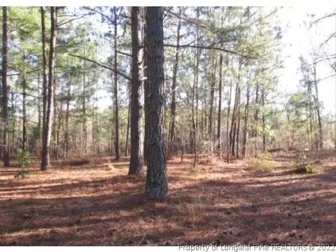 598 Ridge Vw, Cameron, NC 28326 photo 2