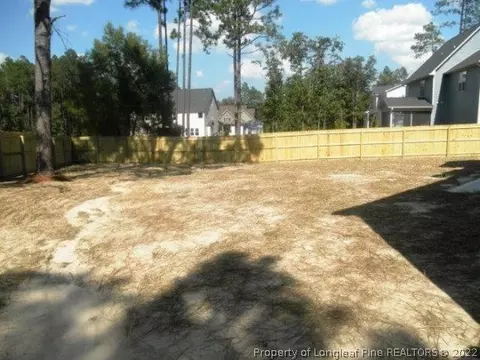 212 Spring Flowers Dr, Cameron, NC 28326 photo 4