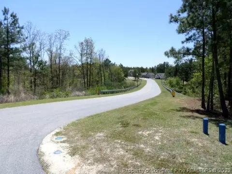 199 Sword Loop, Broadway, NC 27505 photo 26