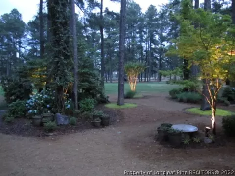 10 Grey Abbey Dr, Pinehurst, NC 28374 photo 6