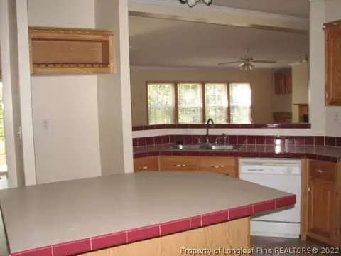 100 Ridge View Dr, Cameron, NC 28326 photo 13
