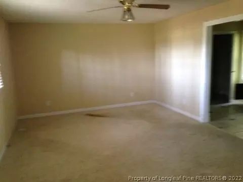 805 Benson Rd, Angier, NC 27501 photo 10