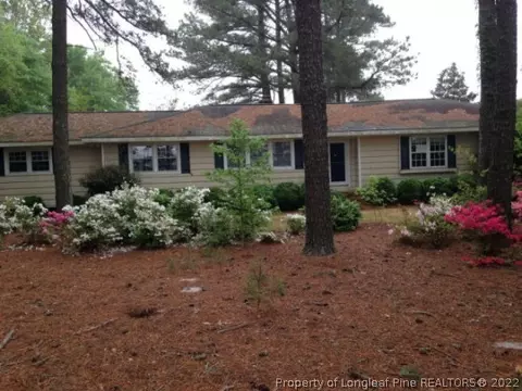 805 Benson Rd, Angier, NC 27501 photo 1