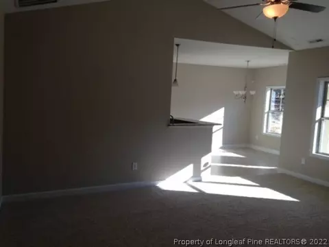 731 Juno Dr, Broadway, NC 27505 photo 5