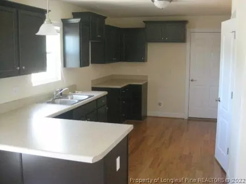 145 Abram Ct, Broadway, NC 27505 photo 5