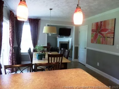 125 Tower Dr, Broadway, NC 27505 photo 9