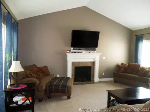 125 Tower Dr, Broadway, NC 27505 photo 13