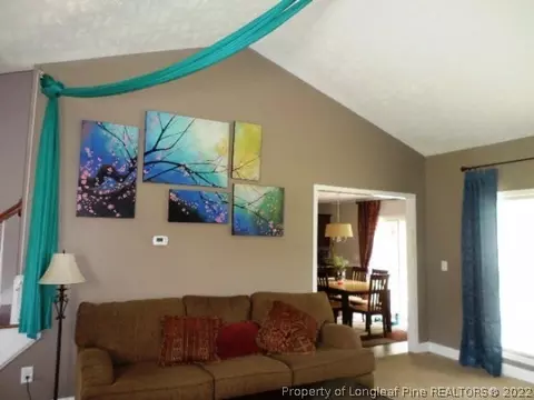125 Tower Dr, Broadway, NC 27505 photo 16