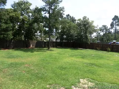 125 Tower Dr, Broadway, NC 27505 photo 23