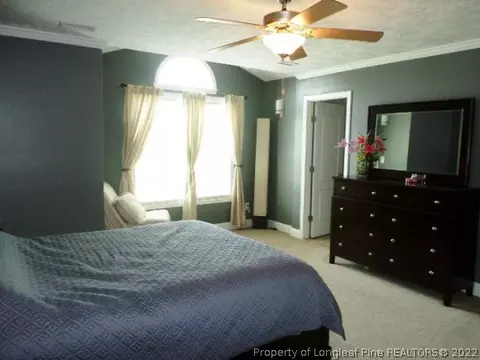 125 Tower Dr, Broadway, NC 27505 photo 10