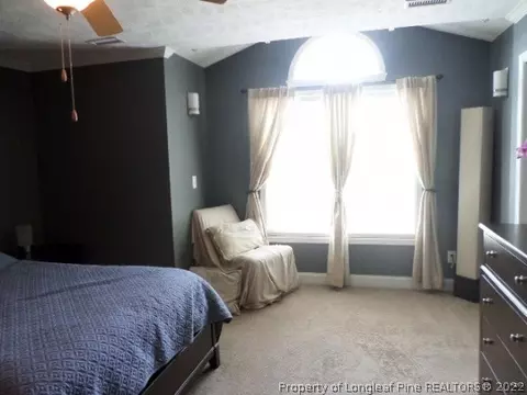 125 Tower Dr, Broadway, NC 27505 photo 17
