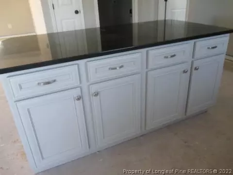 22 Planters Gln, Angier, NC 27501 photo 4