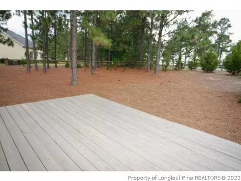 132 W Devonshire Ave, West End, NC 27376 photo 28